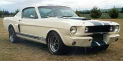 1966 Shelby - Click to Enlarge